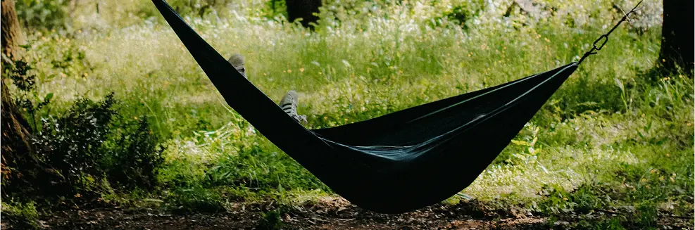 A hammock suspended over a meadow