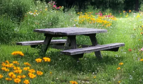 Picnic table surrounded by flowering plants