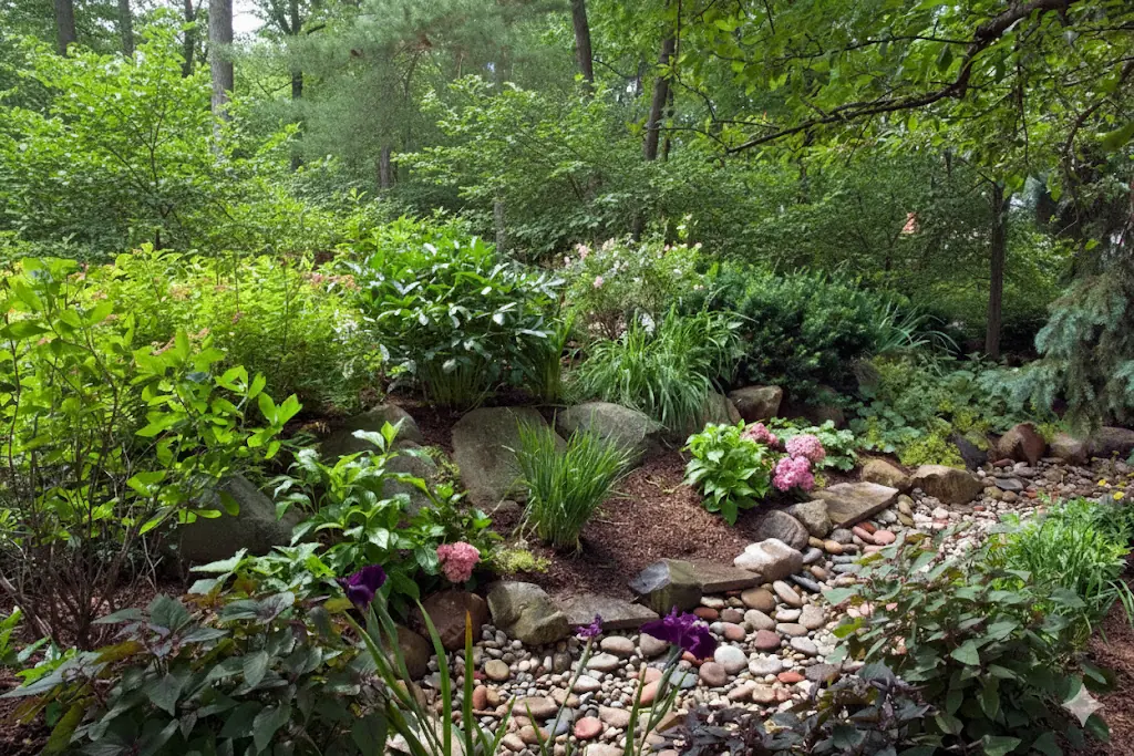 A landscaped rain garden with rocks and flowering plants