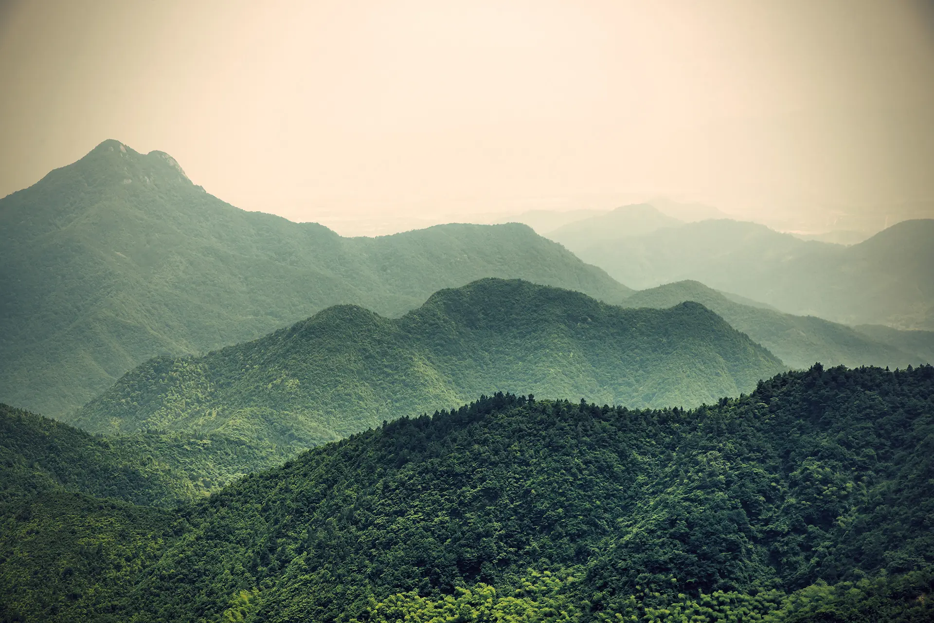 Mountain range in Western North Carolina