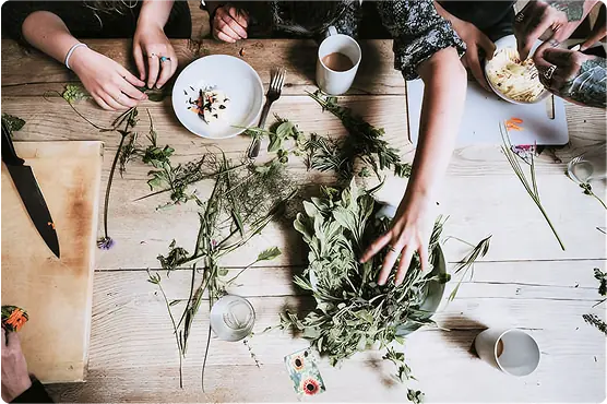 A community garden growing food and flowers