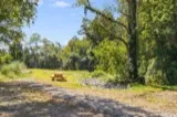 Picnic table in the future amenity area at Terra Futura