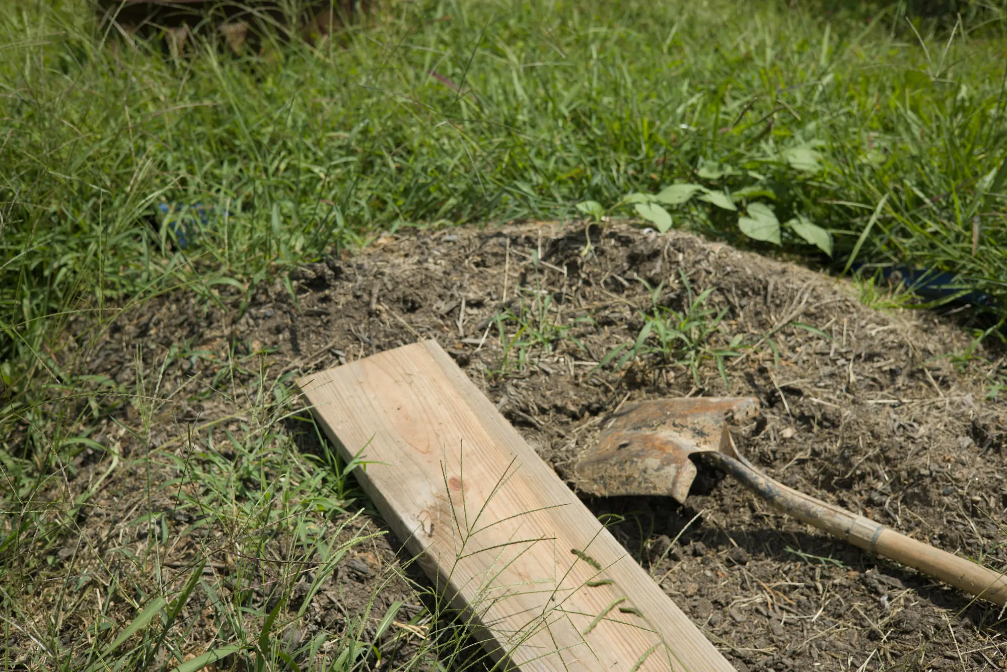 A shovel and board beside a garden bed at Terra Futura