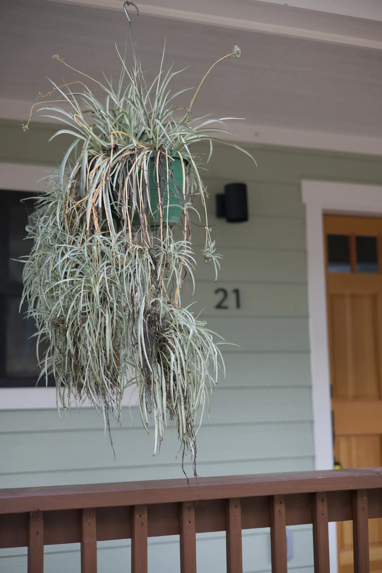A hanging plant and the entry of 21 Fireside Drive